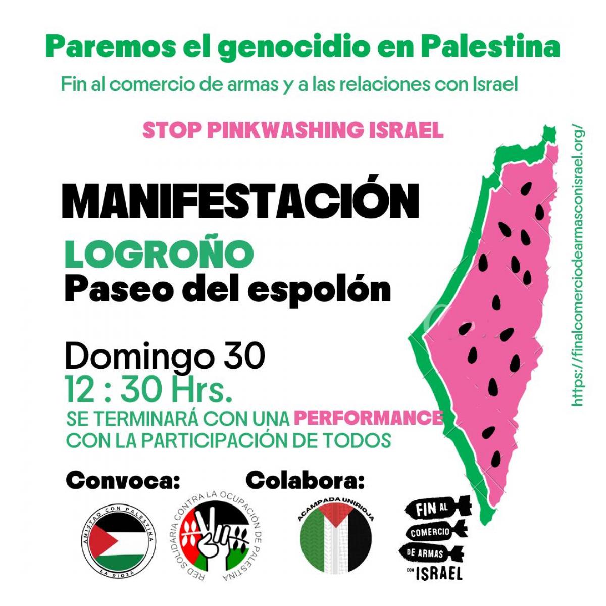6 manifestacin pro Palestina en Logroo